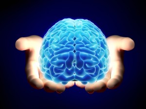 Brain in Hands